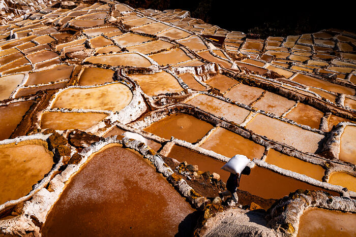 The 2025 International Photography Awards Shared The Best 60 Non-Professional Photos The 2025 International Photography Awards Shared The Best 60 Non-Professional Photos