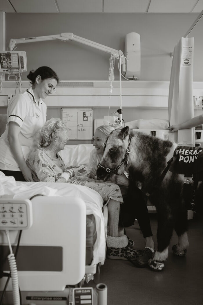 The 2025 International Photography Awards Shared The Best 60 Non-Professional Photos The 2025 International Photography Awards Shared The Best 60 Non-Professional Photos