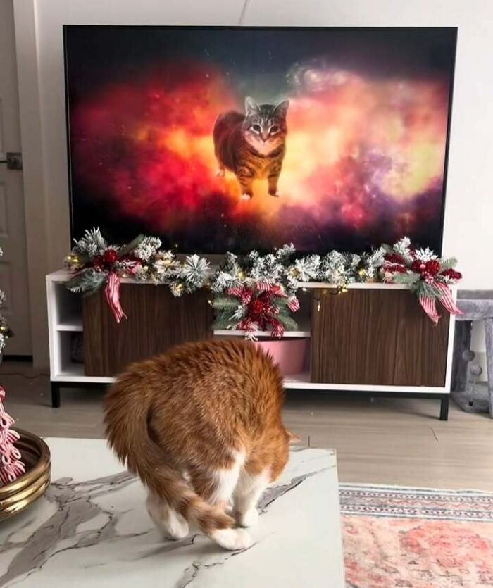 63 Funny Animals That Are The Main Characters (New Pics)