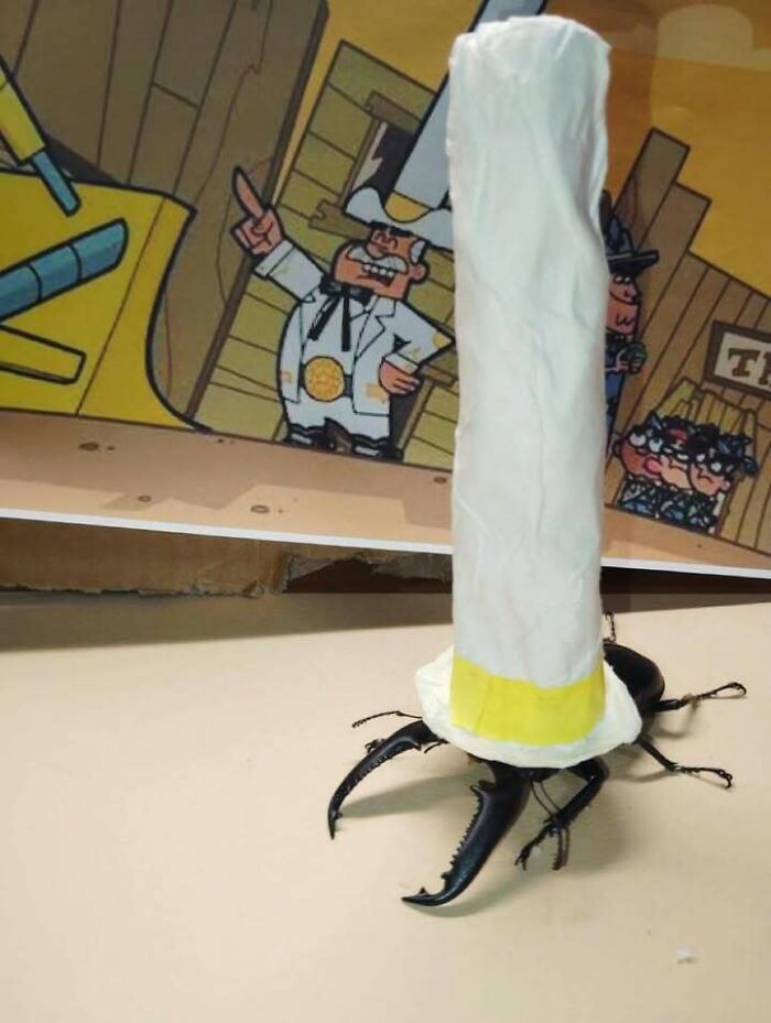 63 Funny Animals That Are The Main Characters (New Pics)