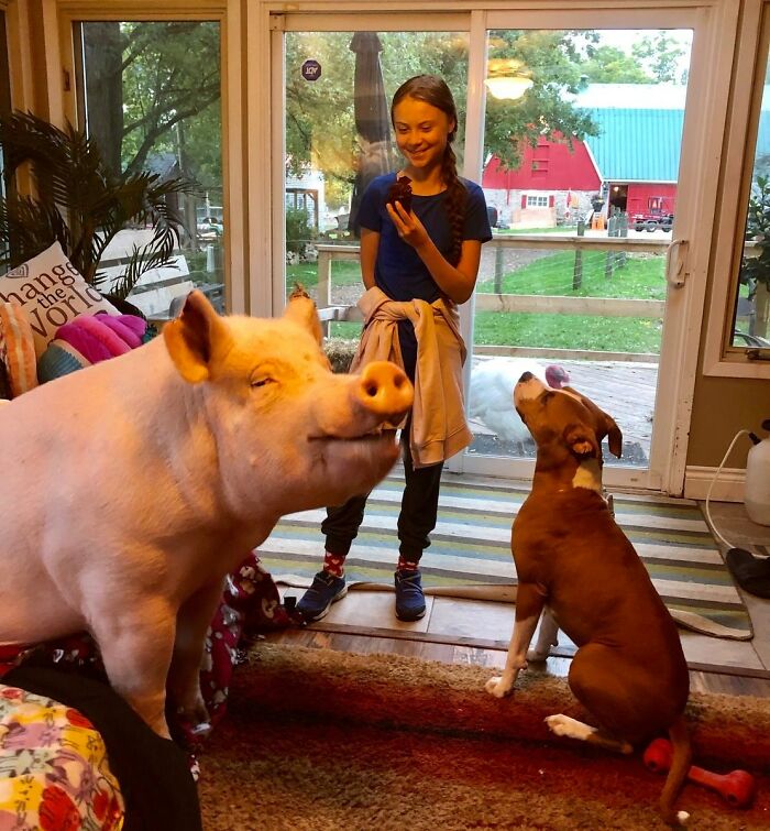 63 Funny Animals That Are The Main Characters (New Pics)