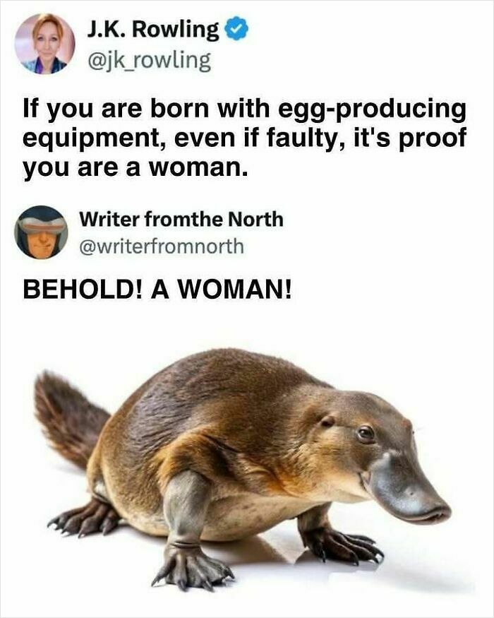 63 Funny Animals That Are The Main Characters (New Pics)