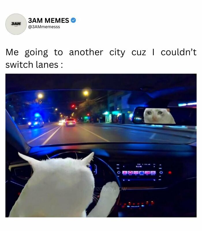 49 Memes For Those Who Find Themselves Wide Awake At 3 AM