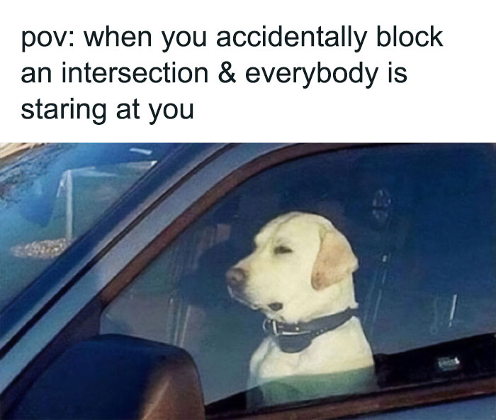 49 Memes For Those Who Find Themselves Wide Awake At 3 AM