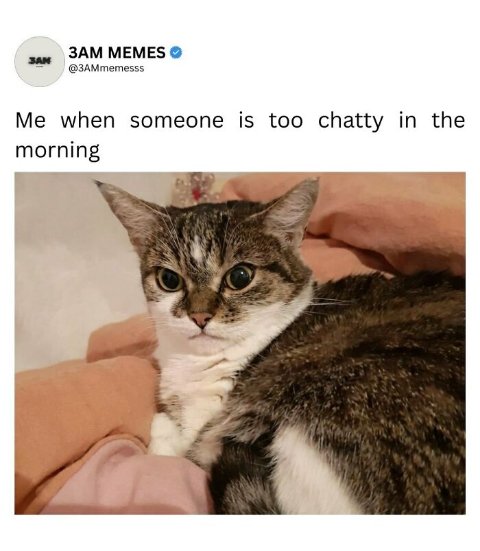 49 Memes For Those Who Find Themselves Wide Awake At 3 AM