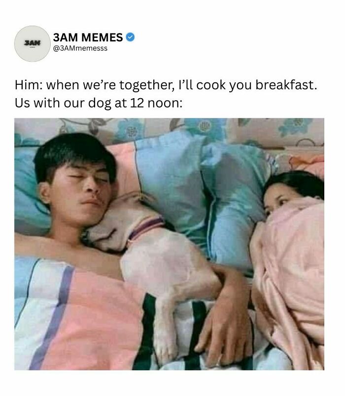 49 Memes For Those Who Find Themselves Wide Awake At 3 AM