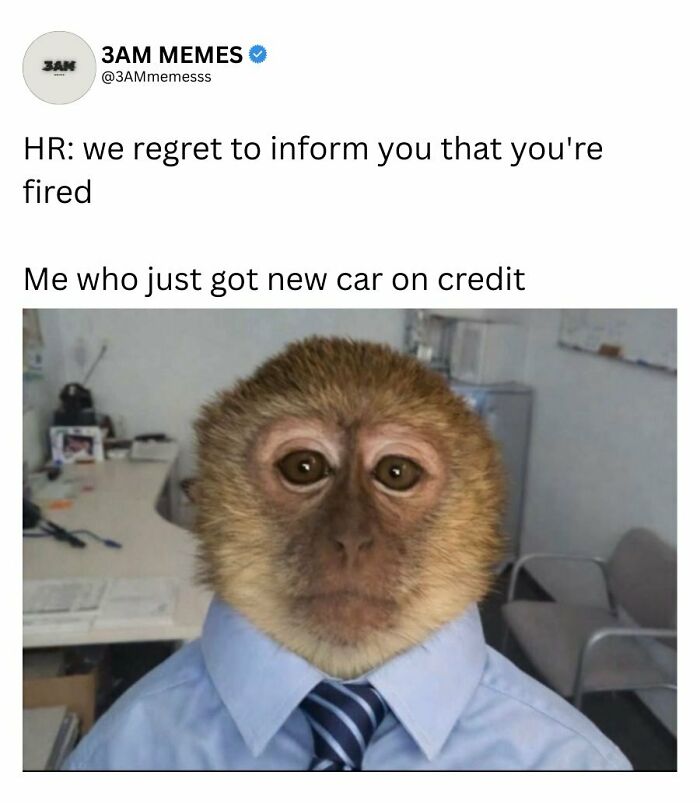 49 Memes For Those Who Find Themselves Wide Awake At 3 AM