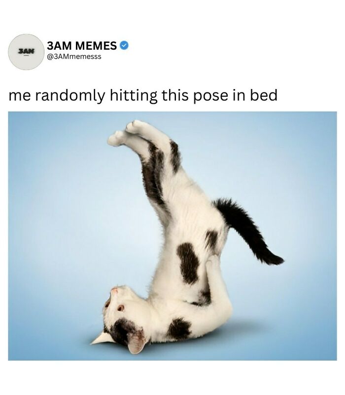 49 Memes For Those Who Find Themselves Wide Awake At 3 AM