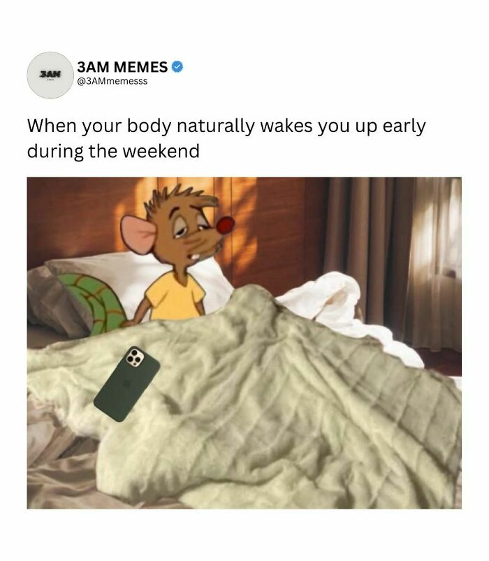 49 Memes For Those Who Find Themselves Wide Awake At 3 AM