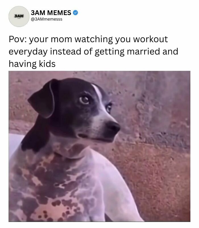 49 Memes For Those Who Find Themselves Wide Awake At 3 AM