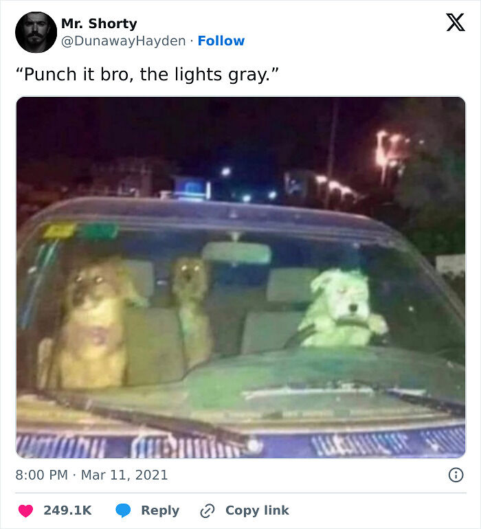 106 Times Dogs Were So Funny They Had To Be Turned Into Amazing Memes 106 Times Dogs Were So Funny They Had To Be Turned Into Amazing Memes