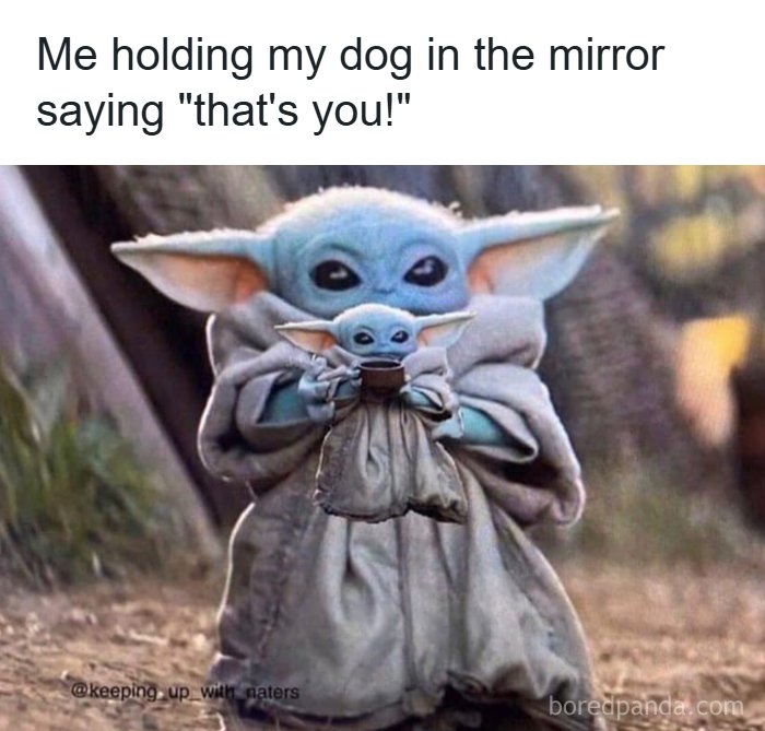 106 Times Dogs Were So Funny They Had To Be Turned Into Amazing Memes 106 Times Dogs Were So Funny They Had To Be Turned Into Amazing Memes