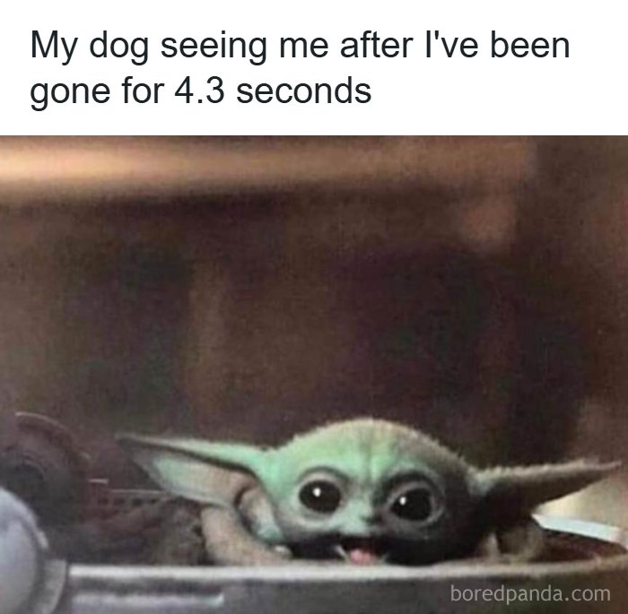 106 Times Dogs Were So Funny They Had To Be Turned Into Amazing Memes 106 Times Dogs Were So Funny They Had To Be Turned Into Amazing Memes