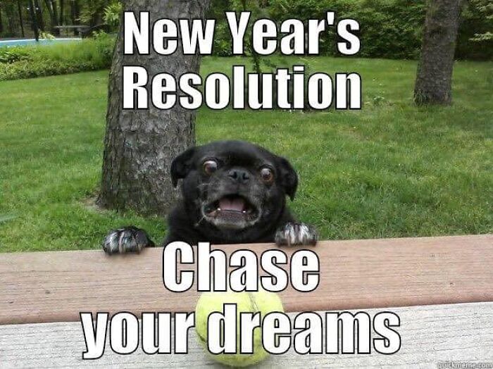 106 Times Dogs Were So Funny They Had To Be Turned Into Amazing Memes 106 Times Dogs Were So Funny They Had To Be Turned Into Amazing Memes