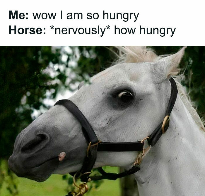 66 Random Memes That Are Pretty Entertaining And Unhinged