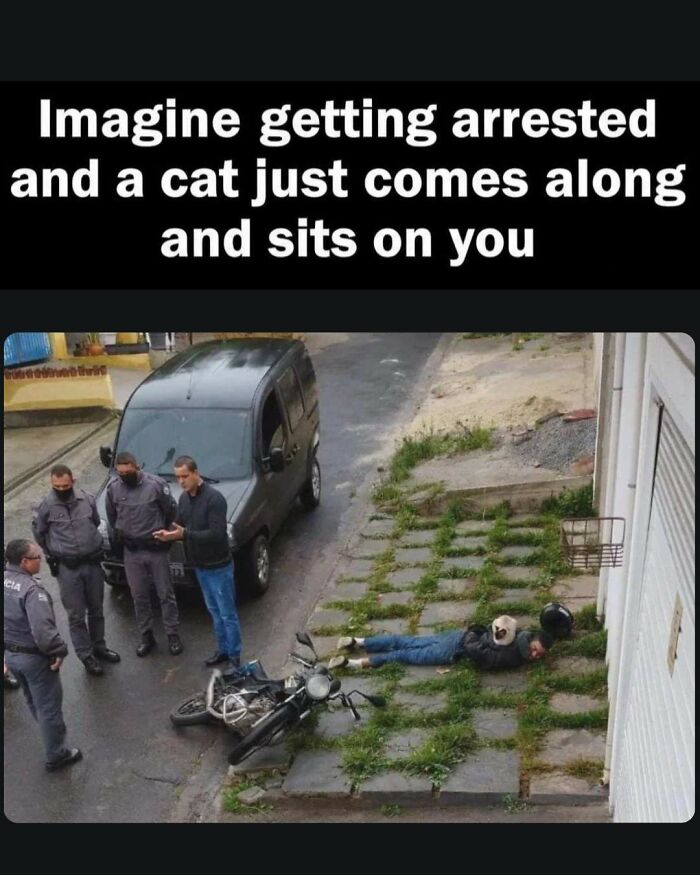 66 Random Memes That Are Pretty Entertaining And Unhinged