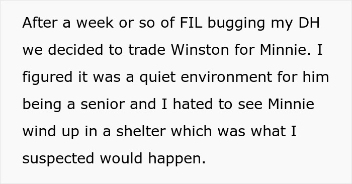 MIL Pretends Dog Passed Away So She Can Get Rid Of Him, Acts Surprised When Family Finds Him At The Shelter MIL Pretends Dog Passed Away So She Can Get Rid Of Him, Acts Surprised When Family Finds Him At The Shelter