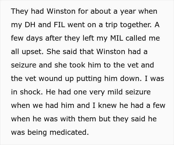 MIL Pretends Dog Passed Away So She Can Get Rid Of Him, Acts Surprised When Family Finds Him At The Shelter MIL Pretends Dog Passed Away So She Can Get Rid Of Him, Acts Surprised When Family Finds Him At The Shelter