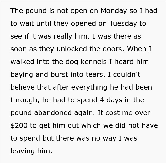 MIL Pretends Dog Passed Away So She Can Get Rid Of Him, Acts Surprised When Family Finds Him At The Shelter MIL Pretends Dog Passed Away So She Can Get Rid Of Him, Acts Surprised When Family Finds Him At The Shelter
