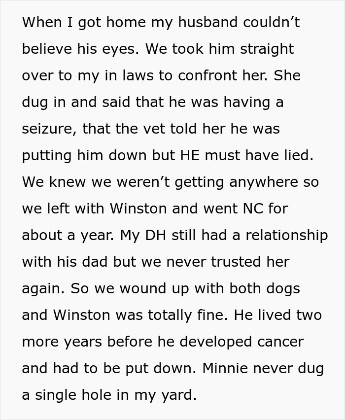 MIL Pretends Dog Passed Away So She Can Get Rid Of Him, Acts Surprised When Family Finds Him At The Shelter MIL Pretends Dog Passed Away So She Can Get Rid Of Him, Acts Surprised When Family Finds Him At The Shelter