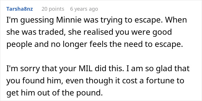 MIL Pretends Dog Passed Away So She Can Get Rid Of Him, Acts Surprised When Family Finds Him At The Shelter MIL Pretends Dog Passed Away So She Can Get Rid Of Him, Acts Surprised When Family Finds Him At The Shelter