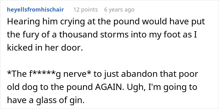 MIL Pretends Dog Passed Away So She Can Get Rid Of Him, Acts Surprised When Family Finds Him At The Shelter MIL Pretends Dog Passed Away So She Can Get Rid Of Him, Acts Surprised When Family Finds Him At The Shelter
