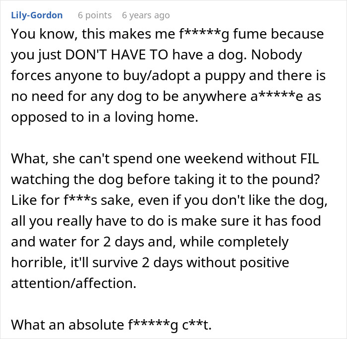 MIL Pretends Dog Passed Away So She Can Get Rid Of Him, Acts Surprised When Family Finds Him At The Shelter MIL Pretends Dog Passed Away So She Can Get Rid Of Him, Acts Surprised When Family Finds Him At The Shelter
