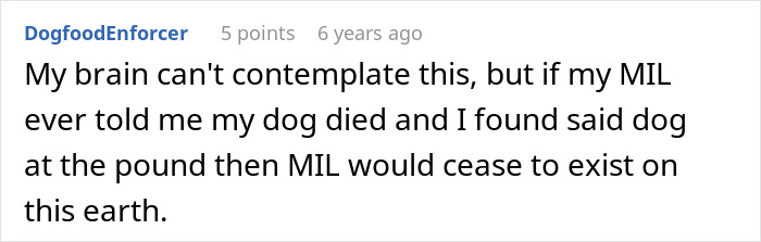 MIL Pretends Dog Passed Away So She Can Get Rid Of Him, Acts Surprised When Family Finds Him At The Shelter MIL Pretends Dog Passed Away So She Can Get Rid Of Him, Acts Surprised When Family Finds Him At The Shelter