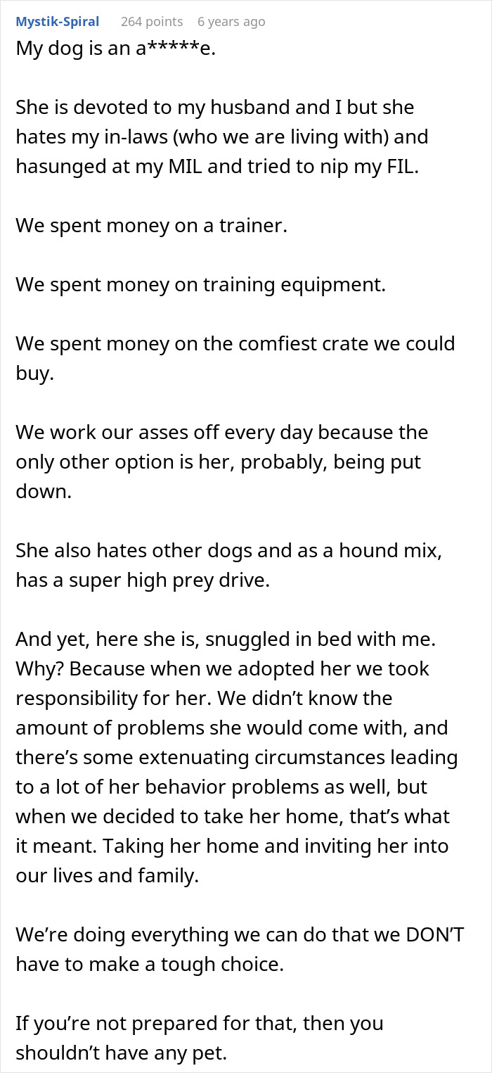 MIL Pretends Dog Passed Away So She Can Get Rid Of Him, Acts Surprised When Family Finds Him At The Shelter MIL Pretends Dog Passed Away So She Can Get Rid Of Him, Acts Surprised When Family Finds Him At The Shelter