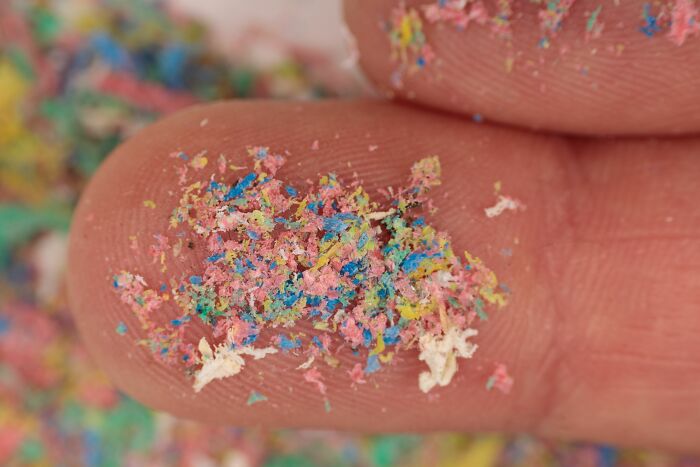 &ldquo;Coffin Birth&rdquo;: 42 Terrifying Facts That Prove The World Can Be A Dark And Scary Place