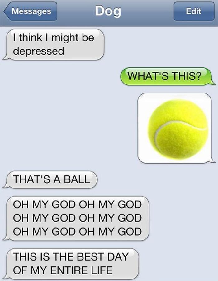 65 Hilarious Text Screenshots That Might Be The Reason You Laugh Today 65 Hilarious Text Screenshots That Might Be The Reason You Laugh Today