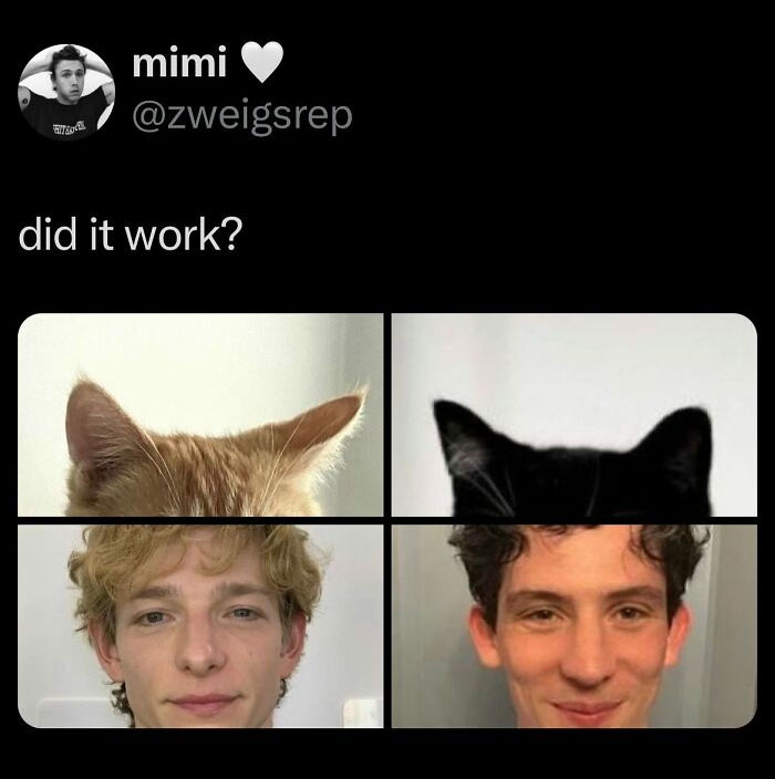 40 Random Tweets That Have No Business Being So Funny 40 Random Tweets That Have No Business Being So Funny