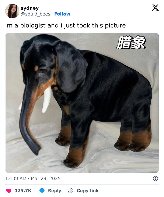 40 Random Tweets That Have No Business Being So Funny 40 Random Tweets That Have No Business Being So Funny