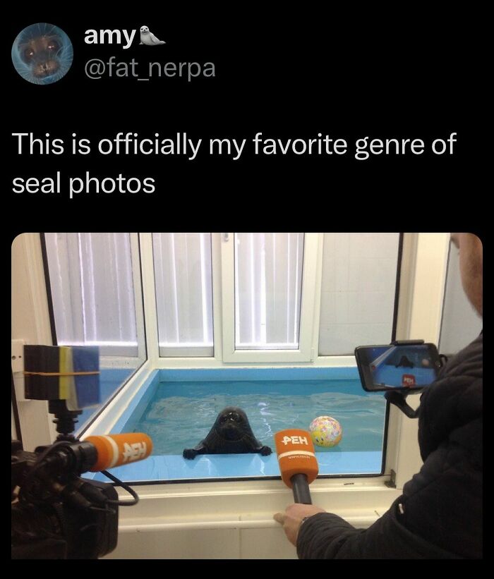 40 Random Tweets That Have No Business Being So Funny 40 Random Tweets That Have No Business Being So Funny