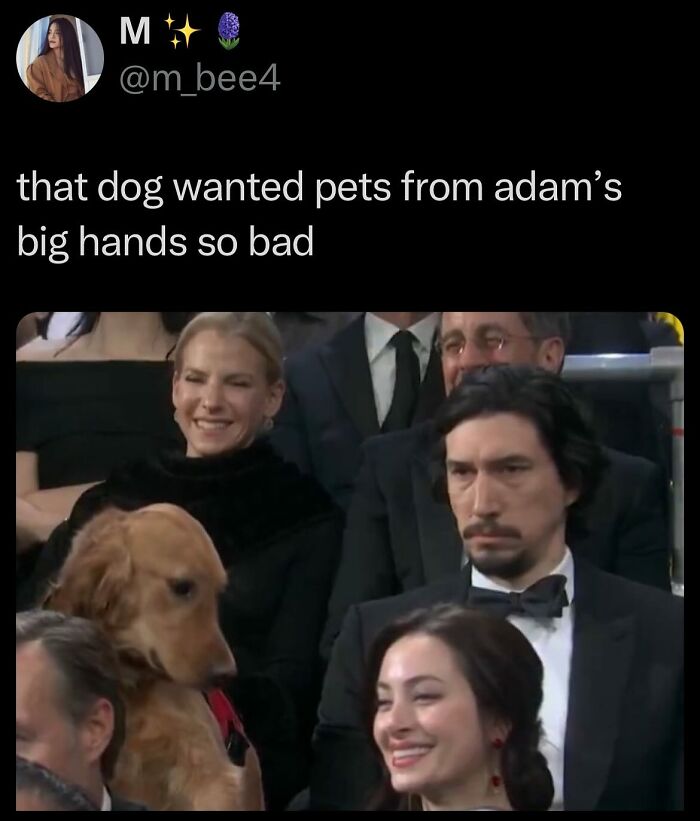 40 Random Tweets That Have No Business Being So Funny 40 Random Tweets That Have No Business Being So Funny