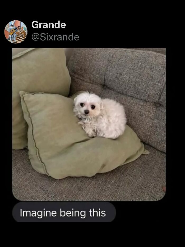 40 Random Tweets That Have No Business Being So Funny 40 Random Tweets That Have No Business Being So Funny