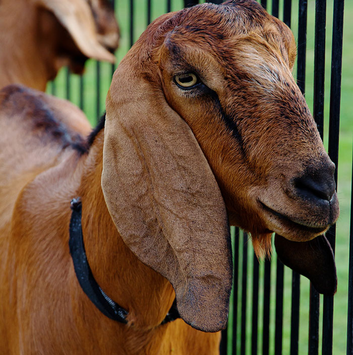 “She Was Arrested”: 64 Coworkers That Became Legends For All The Wrong Reasons