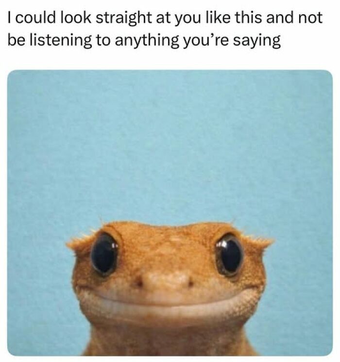 If Everything Is Annoying You Right Now, These 53 Memes Might Help Lighten Your Mood