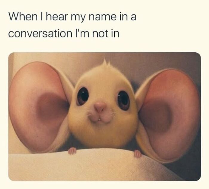 If Everything Is Annoying You Right Now, These 53 Memes Might Help Lighten Your Mood