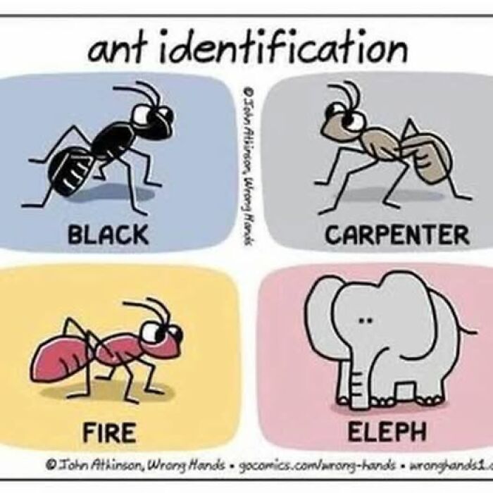 If Everything Is Annoying You Right Now, These 53 Memes Might Help Lighten Your Mood