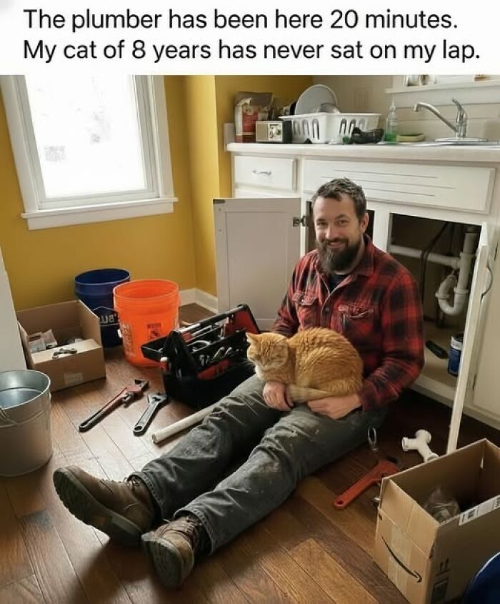 If Everything Is Annoying You Right Now, These 53 Memes Might Help Lighten Your Mood