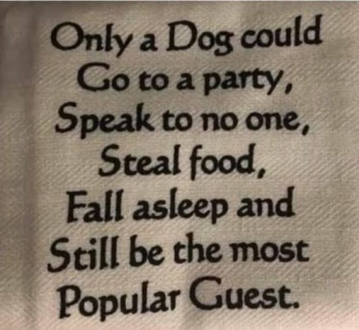 If Everything Is Annoying You Right Now, These 53 Memes Might Help Lighten Your Mood