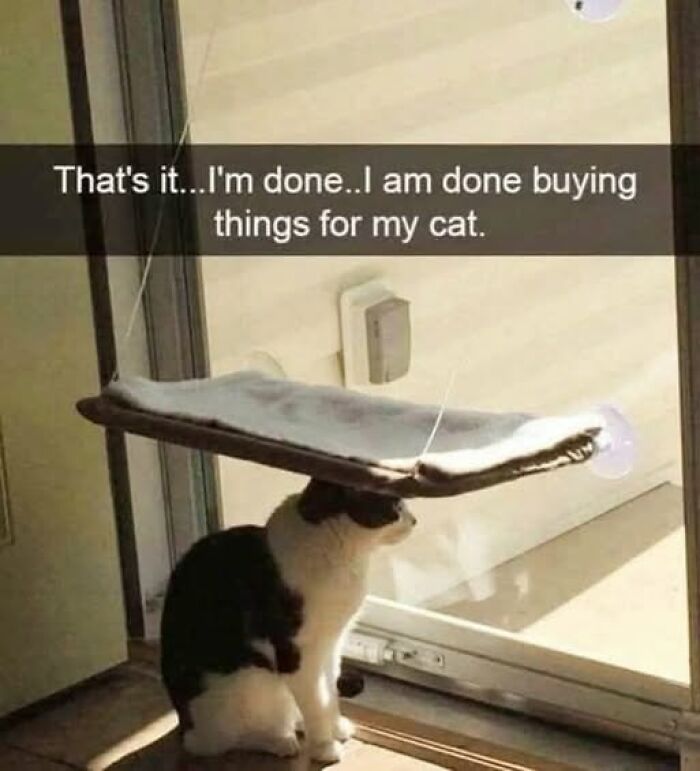 If Everything Is Annoying You Right Now, These 53 Memes Might Help Lighten Your Mood