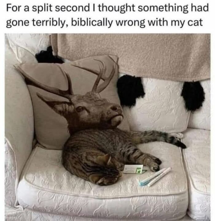 If Everything Is Annoying You Right Now, These 53 Memes Might Help Lighten Your Mood