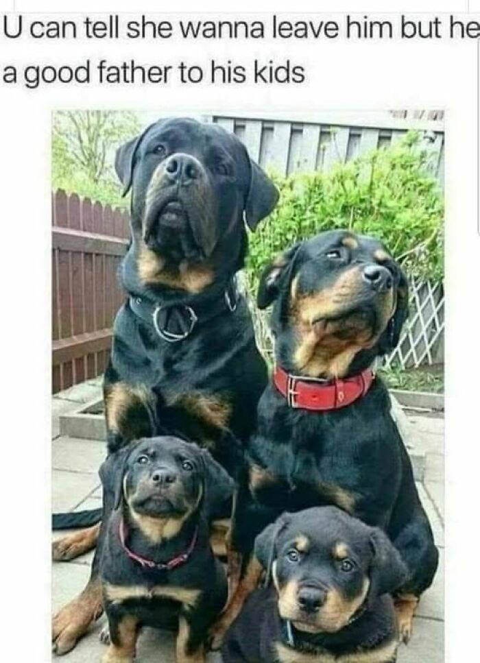 If Everything Is Annoying You Right Now, These 53 Memes Might Help Lighten Your Mood