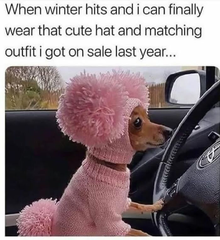 If Everything Is Annoying You Right Now, These 53 Memes Might Help Lighten Your Mood