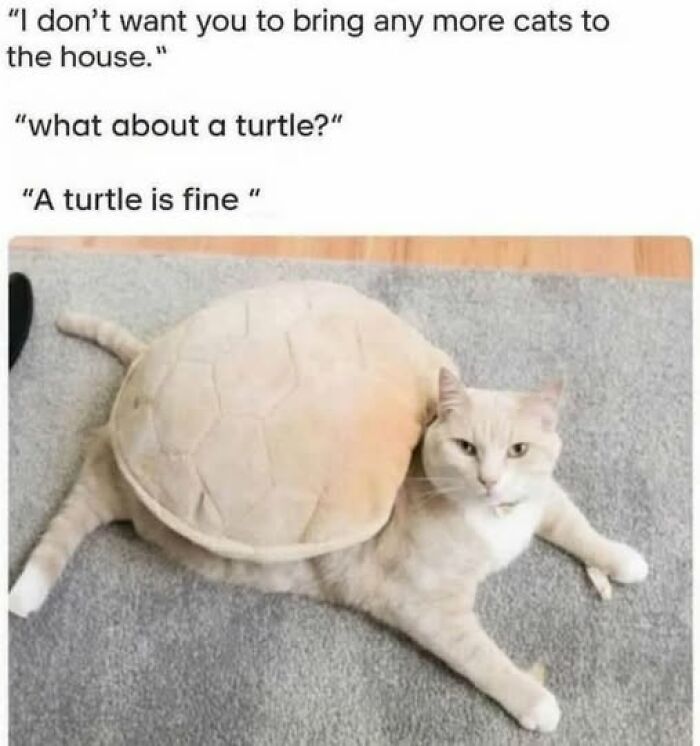 If Everything Is Annoying You Right Now, These 53 Memes Might Help Lighten Your Mood