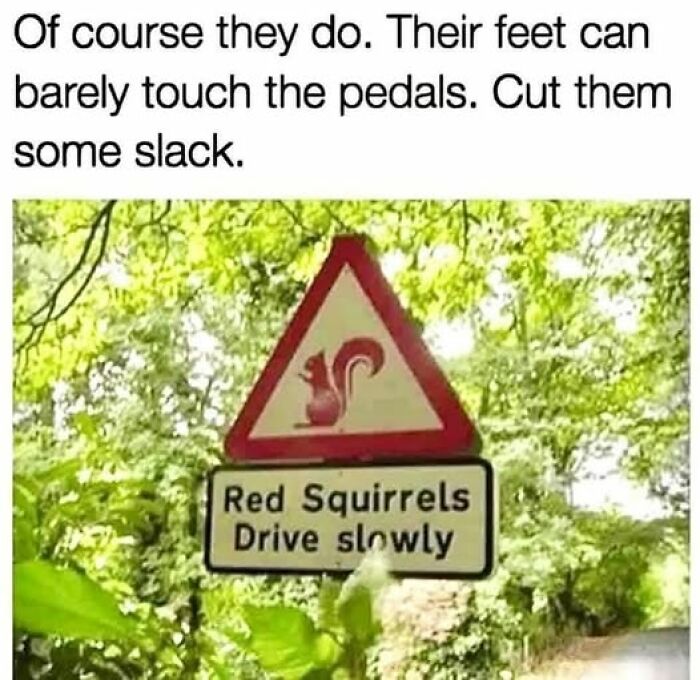 If Everything Is Annoying You Right Now, These 53 Memes Might Help Lighten Your Mood