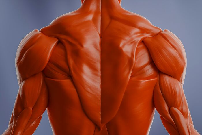 44 Autopsy Findings That Were So Strange, Even Doctors Were Speechless 44 Autopsy Findings That Were So Strange, Even Doctors Were Speechless