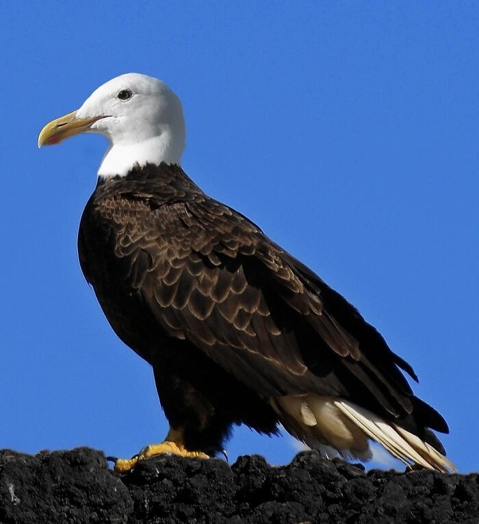 If Photoshop Disappeared, People Could Not Explain These Unhinged And Wild Pics If Photoshop Disappeared, People Could Not Explain These Unhinged And Wild Pics